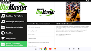 Deni Ute Muster Screenshot 3