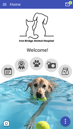 IronBridgeVet Screenshot 0