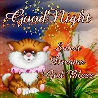 Good night!