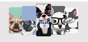 Boston Terrier Live Wallpaper Screenshot 0