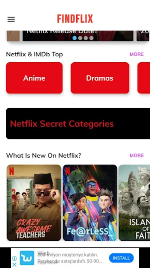 Findflix Screenshot 1