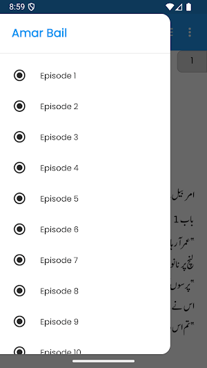 Amar Bail Novel by Umera Ahmed Screenshot 2