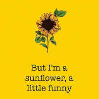 Sunflower Aesthetic Wallpaper