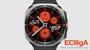 IWF EC III gA | ISACWATCH Screenshot 0