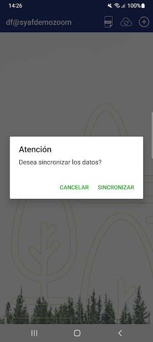 SYAF Remitos Screenshot 1