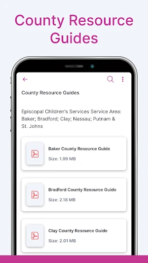 ECS Parent Resource Screenshot 1