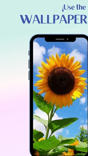 Roses and Flowers 2022 Screenshot 2