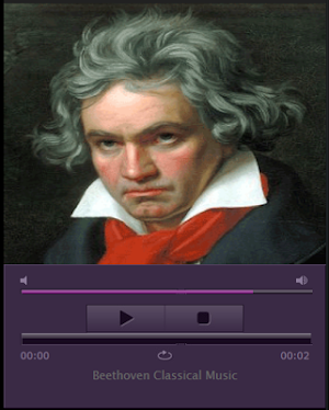 Classical Music Radio 24 Hours Classical Music Screenshot 2