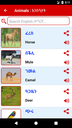 Tigrinya Word Book - ትግርኛ screenshot 3