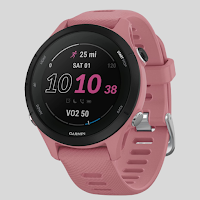 Garmin Forerunner 255 guide