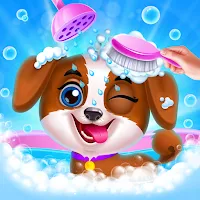 my dream pet  puppy daycare