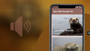 Sea Otter Sounds Screenshot 0