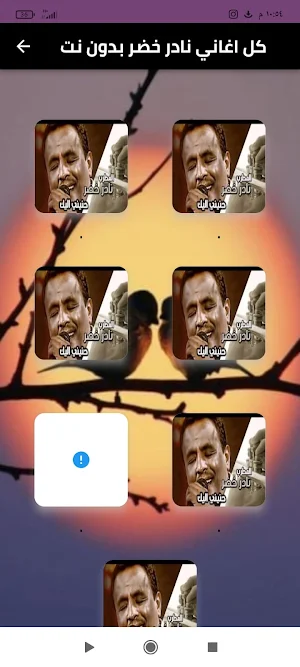 كل اغاني نادر خضر بدون نت Screenshot 0