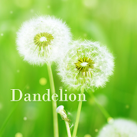 Dandelion +HOME