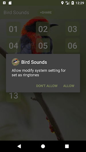 Scarlet-backed flowerpecker Sounds Screenshot 2