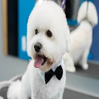 PetPal