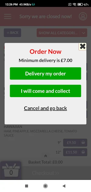 Great Yarmouth Pizza And Kebab Screenshot 0