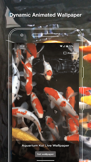 Aquarium Koi Live Wallpaper Screenshot 1