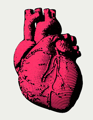 Human heart sounds ~ Sboard.pro Screenshot 0