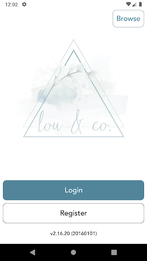 Lou & Co Screenshot 0