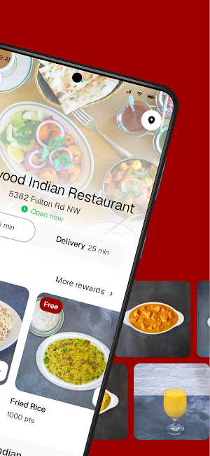Bollywood Indian Restaurant Screenshot 1