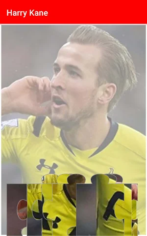 Harry Kane -Wallpapers,Puzzle Screenshot 2