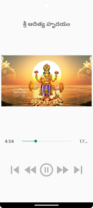 Sri Aditya Hridayam Screenshot 3