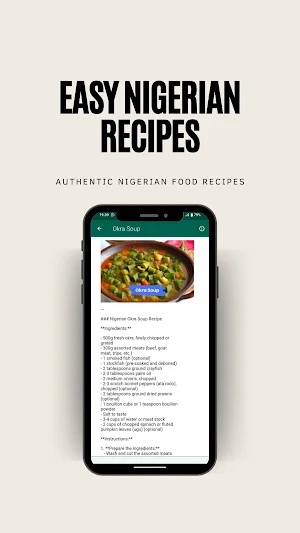 Easy Nigerian recipes Screenshot 2