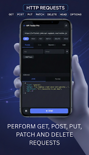 API Tester Screenshot 2