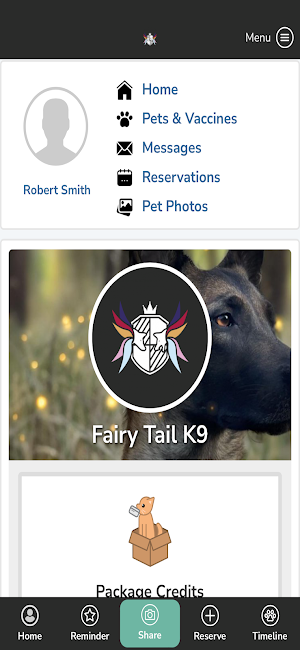 Fairy Tail K9 Screenshot 0