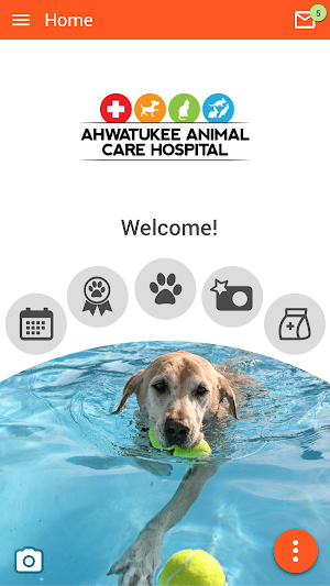 Ahwatukee Animal Care Screenshot 0