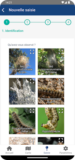 Signalement Chenilles Screenshot 0