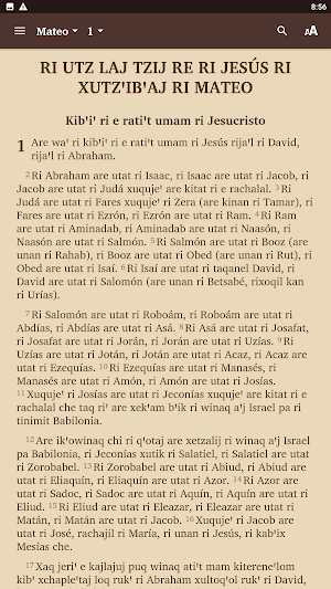Kꞌicheꞌ Totonicatapán Bible Screenshot 1