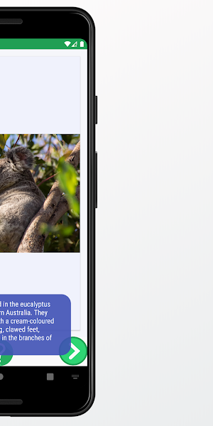 Koala Images and Facts Screenshot 3