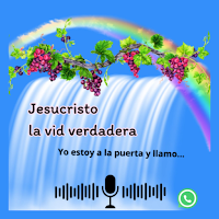 Jesucristo La Vid Verdadera