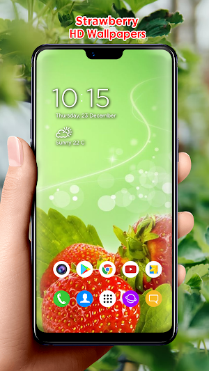Strawberry HD Wallpapers Screenshot 3