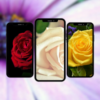 Flowers Wallpapers