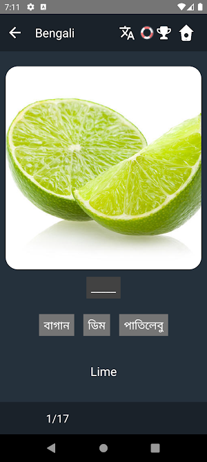 Bengali Language Tests Screenshot 3