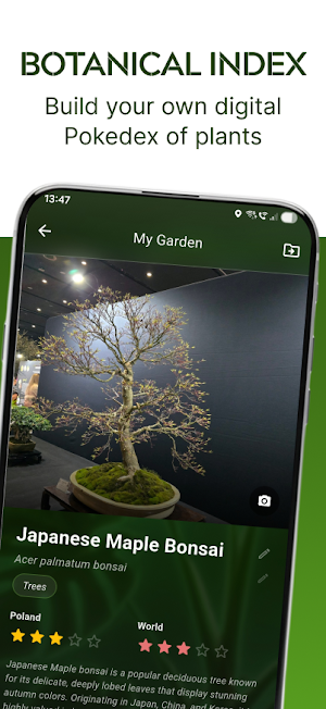 Florium Screenshot 1