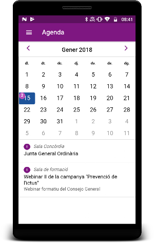COF Lleida Screenshot 2