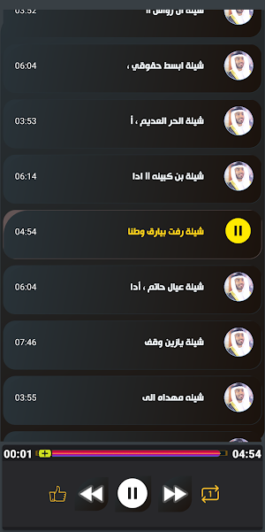 شيلات سلطان البريكي بدون نت Screenshot 2