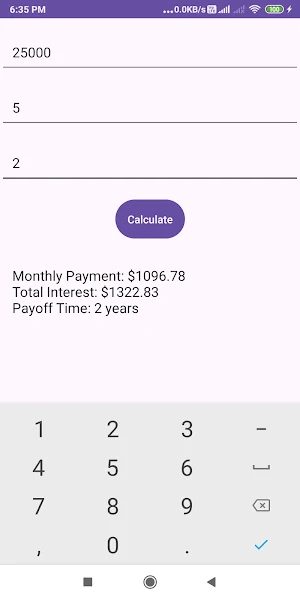 Debt Payoff Calculator Screenshot 1