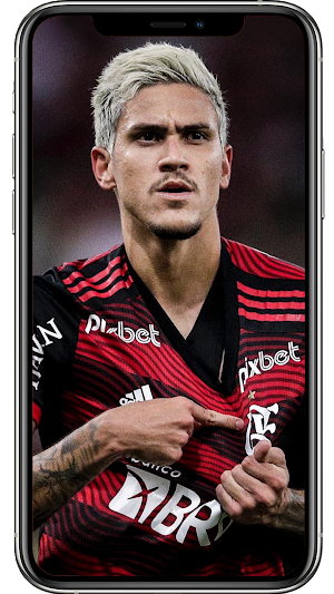 Pedro Flamengo Wallpapers Screenshot 2