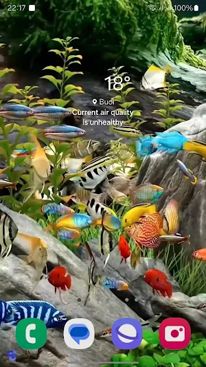 3D Fish Tank Live Wallpaper Screenshot 3