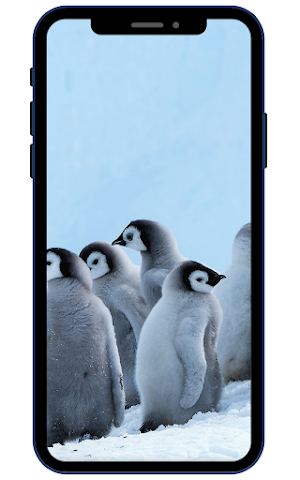 Penguins Wallpapers Screenshot 1