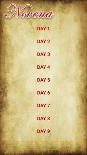 Saint John Paul II Devotion Screenshot 1