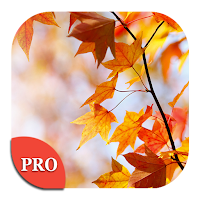 Autumn Wallpapers PRO