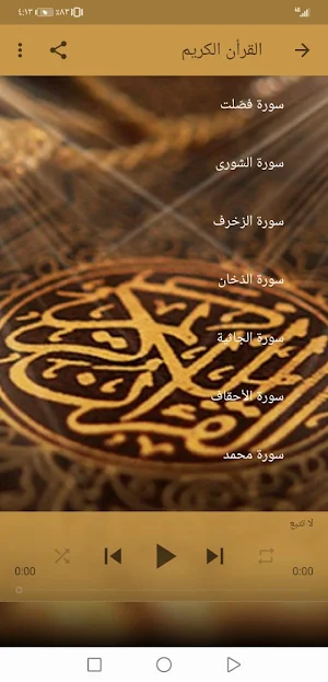 عبدالرحمن السديس  بدون نت القران ج4 جودة عاليةlجنة Screenshot 2
