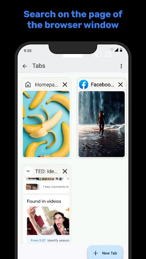 Internet Web Browser Screenshot 2