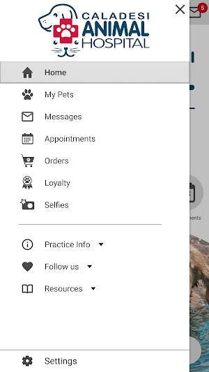 Caladesi Animal Hospital Screenshot 1